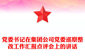 黨委書記在集團公司黨委巡察整改工作匯報點評會上的講話