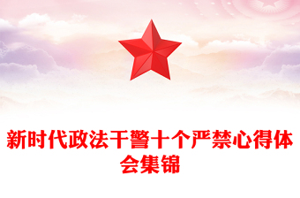 新時代政法干警十個嚴(yán)禁心得體會集錦