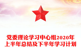 黨委理論學習中心組2020年上半年總結及下半年學習計劃