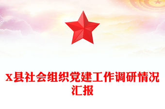 X縣社會組織黨建工作調研情況匯報