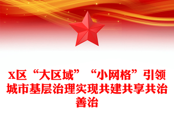 X區(qū)“大區(qū)域”“小網(wǎng)格”引領(lǐng)城市基層治理實(shí)現(xiàn)共建共享共治善治