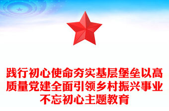 踐行初心使命夯實基層堡壘以高質量黨建全面引領鄉村振興事業不忘初心主題教育