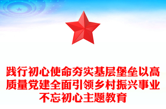 踐行初心使命夯實(shí)基層堡壘以高質(zhì)量黨建全面引領(lǐng)鄉(xiāng)村振興事業(yè)不忘初心主題教育