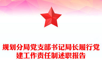 規劃分局黨支部書記局長履行黨建工作責任制述職報告