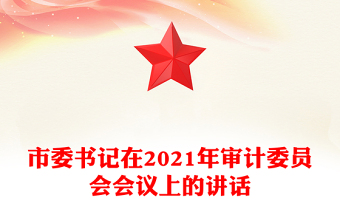 市委書記在2021年審計委員會會議上的講話