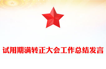 試用期滿轉正大會工作總結發言