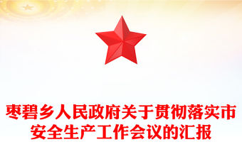 棗碧鄉人民政府關于貫徹落實市安全生產工作會議的匯報