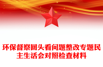 環(huán)保督察回頭看問題整改專題民主生活會(huì)對(duì)照檢查材料
