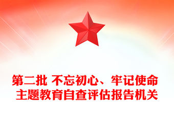 第二批 不忘初心、牢記使命 主題教育自查評估報告機關