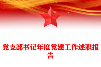 黨支部書記年度黨建工作述職報告