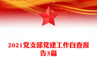 2021黨支部黨建工作自查報告3篇