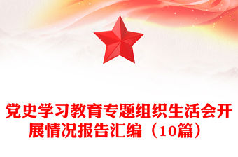 黨史學習教育專題組織生活會開展情況報告匯編（10篇）