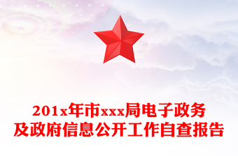 201x年市xxx局電子政務及政府信息公開工作自查報告