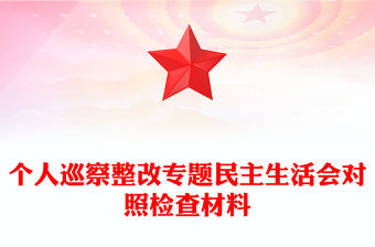 個人巡察整改專題民主生活會對照檢查材料