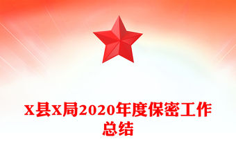 X縣X局2020年度保密工作總結