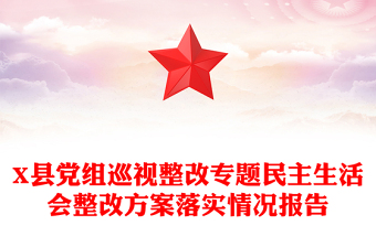 X縣黨組巡視整改專題民主生活會(huì)整改方案落實(shí)情況報(bào)告