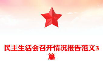 民主生活會召開情況報告范文3篇