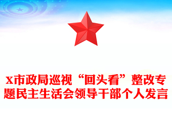 X市政局巡視“回頭看”整改專題民主生活會領導干部個人發(fā)言