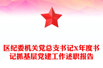 區紀委機關黨總支書記X年度書記抓基層黨建工作述職報告