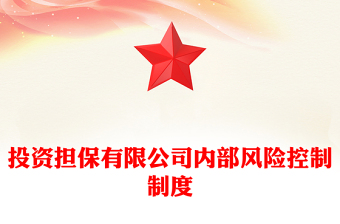 投資擔(dān)保有限公司內(nèi)部風(fēng)險控制制度