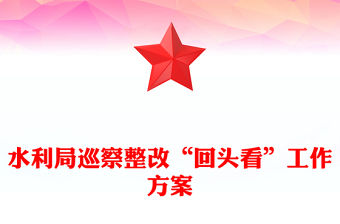 水利局巡察整改“回頭看”工作方案