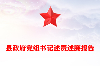 縣政府黨組書記述責(zé)述廉報告