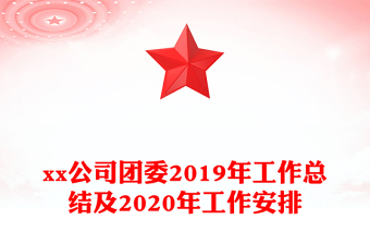 xx公司團(tuán)委2019年工作總結(jié)及2020年工作安排