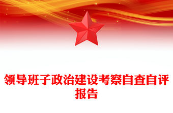 領導班子政治建設考察自查自評報告