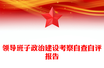 領導班子政治建設考察自查自評報告 領導班子政治建設考察自查自評報告