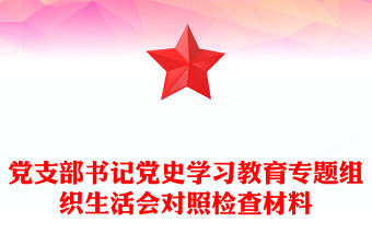 黨支部書記黨史學習教育專題組織生活會對照檢查材料