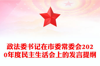 政法委書記在市委常委會2020年度民主生活會上的發言提綱
