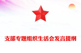 支部專題組織生活會(huì)發(fā)言提綱