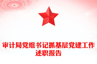 審計局黨組書記抓基層黨建工作述職報告
