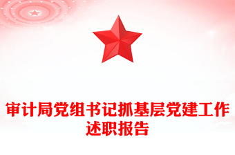 審計局黨組書記抓基層黨建工作述職報告