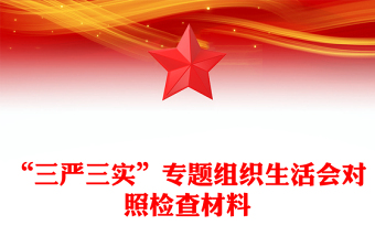“三嚴(yán)三實(shí)”專題組織生活會(huì)對(duì)照檢查材料