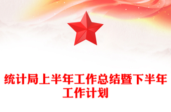 統(tǒng)計(jì)局上半年工作總結(jié)暨下半年工作計(jì)劃