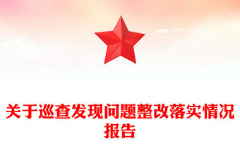 關于巡查發現問題整改落實情況報告