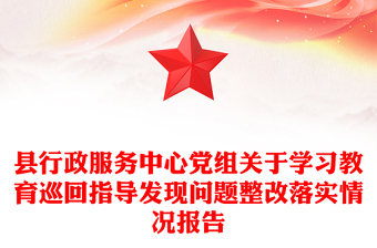 縣行政服務(wù)中心黨組關(guān)于學(xué)習(xí)教育巡回指導(dǎo)發(fā)現(xiàn)問(wèn)題整改落實(shí)情況報(bào)告