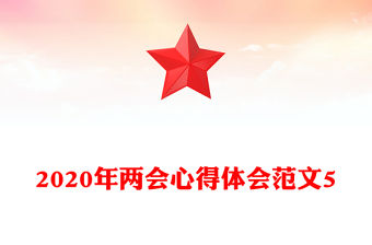 2020年兩會心得體會范文5