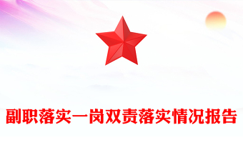 副職落實(shí)一崗雙責(zé)落實(shí)情況報(bào)告