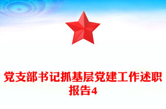 黨支部書記抓基層黨建工作述職報告4