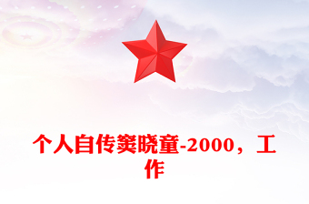 個人自傳竇曉童-2000，工作