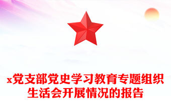 x黨支部黨史學習教育專題組織生活會開展情況的報告