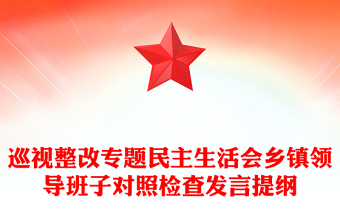 巡視整改專題民主生活會鄉(xiāng)鎮(zhèn)領(lǐng)導班子對照檢查發(fā)言提綱