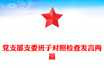 黨支部支委班子對(duì)照檢查發(fā)言兩篇