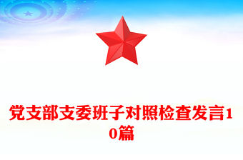 黨支部支委班子對照檢查發言10篇