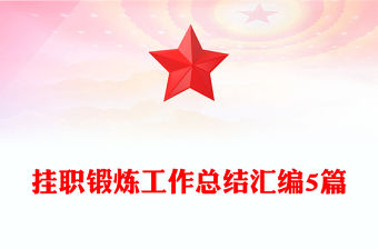 掛職鍛煉工作總結(jié)匯編5篇