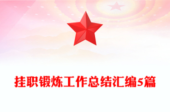 掛職鍛煉工作總結(jié)匯編5篇