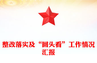 整改落實及“回頭看”工作情況匯報