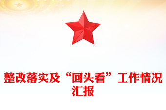 整改落實及“回頭看”工作情況匯報